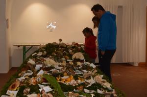 Kljub slabi gobarski sezoni lepa bera gob na razstavi 7